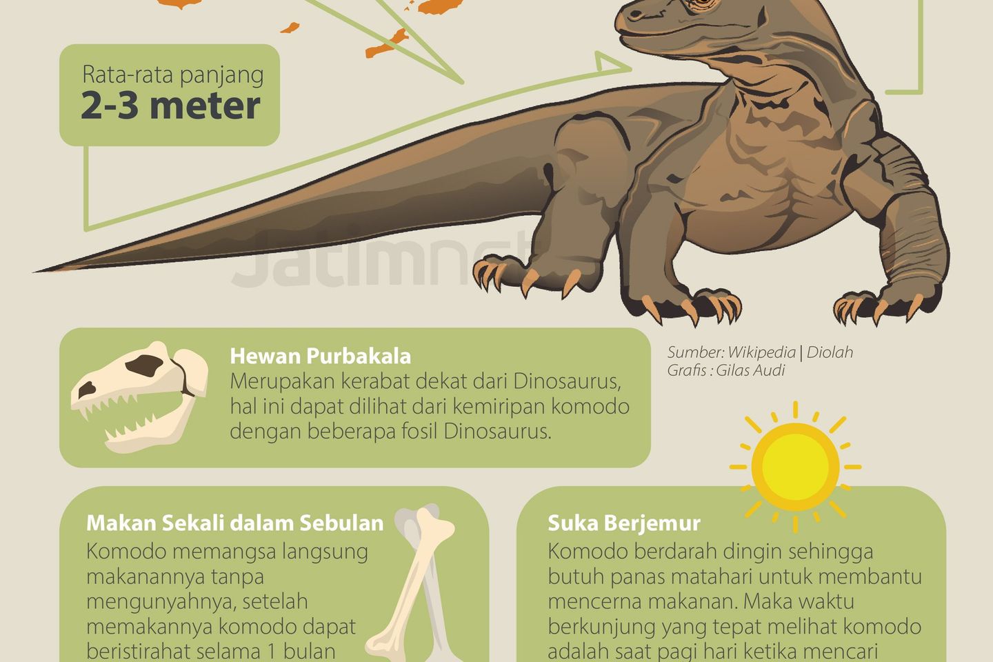 Komodo, Kadal Purba yang Hampir Punah