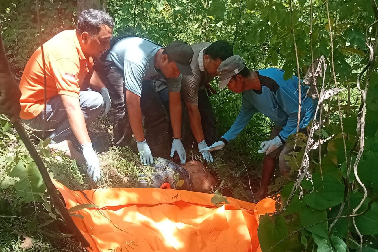 Polisi Ringkus Enam Pembunuh Pemuda Dibuang di Hutan Tanjung Jombang, Tiga Pelaku Berusia Anak