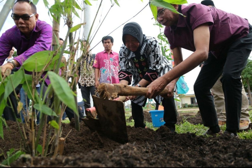 Penanaman 400 Bambu Bali Diharapkan Muncul Sumber Air Baru