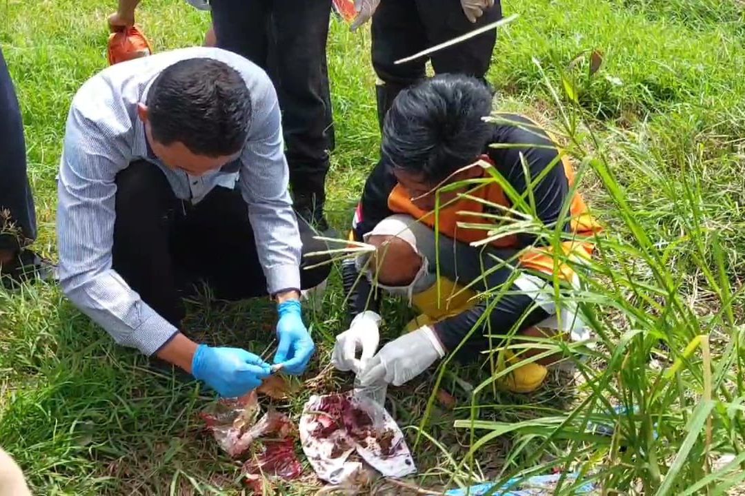 Dikira Janin Bayi, Gumpalan Darah di Tempat Sampah Gegerkan Warga Mojokerto