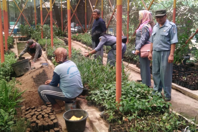 Mini Agrowisata, Kebun Buah dan Sayur di Dalam Kota Surabaya