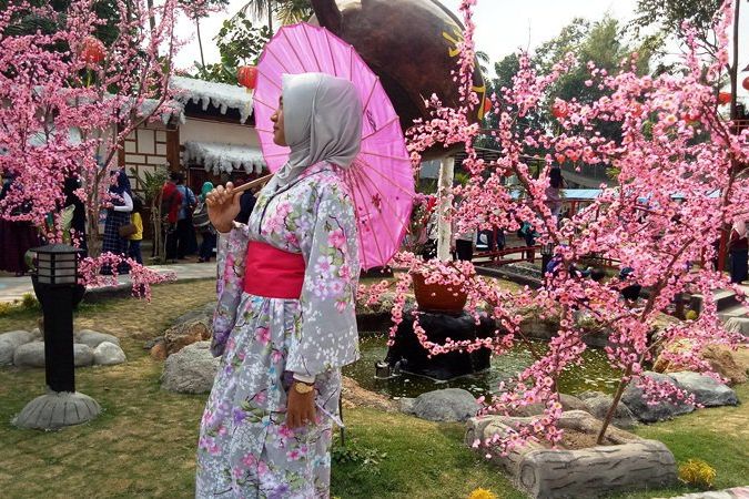 Melihat Bunga Sakura yang Mekar di Blitar 