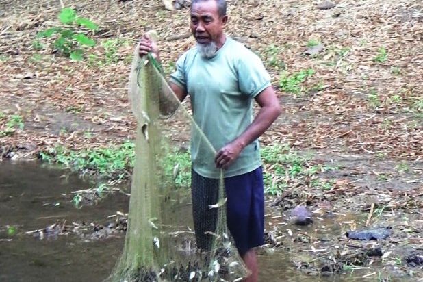 Ikan Mati Massal di Blitar Diduga Karena Limbah Pabrik Gula RMI