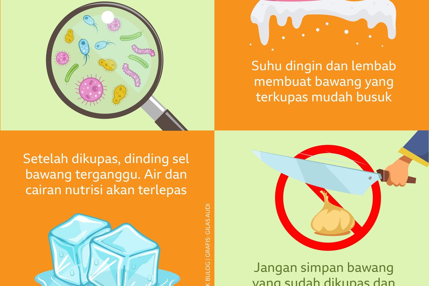 Rusak Kualitas Bawang Kupas di Kulkas