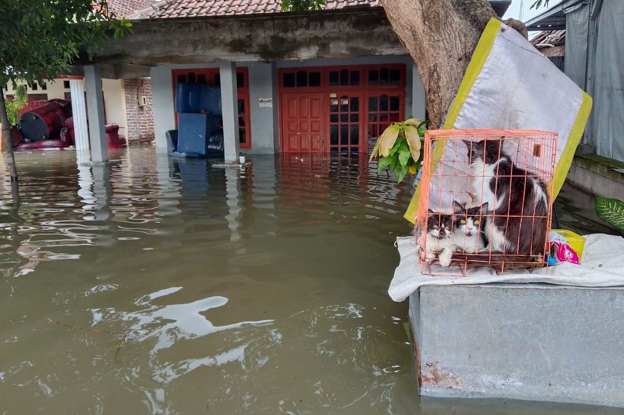 Puluhan Pengungsi Banjir di Desa Tempuran Mojokerto Sesak Napas dan Gatal
