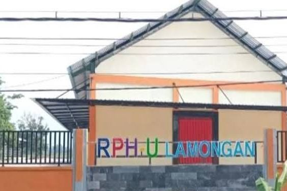 Melebihi Target PAD 2024, Rumah Potong Unggas Pemkab Lamongan Yakin Target 2025 Bisa Lebih