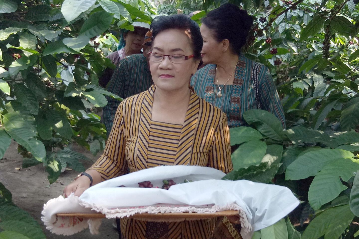 Manten Kopi, Ritual Panen Raya Kopi di Lereng Kelud