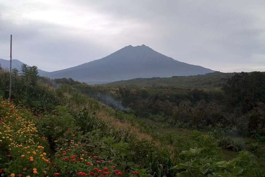 Melepas Penat di Puncak Asmoro Gombengsari Banyuwangi
