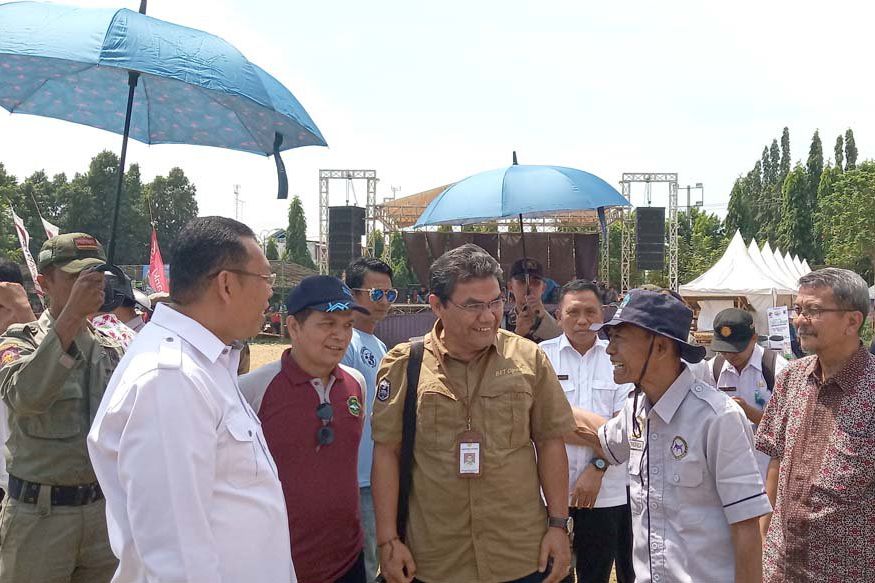 Selama Tiga Tahun ada Empat Jutaan Anakan Sapi Hasil IB di Indonesia