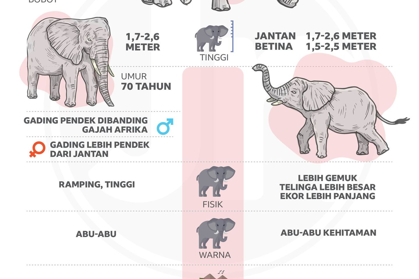 Gajah Indonesia yang Nyaris Punah