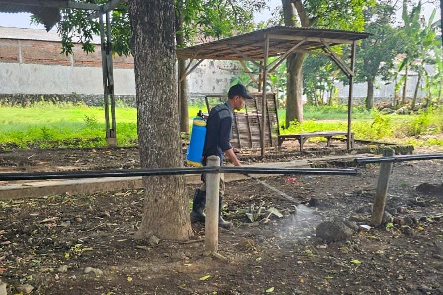 Cegah Penyebaran PMK, Disperta Probolinggo Gencarkan Disinfeksi Pasar Hewan