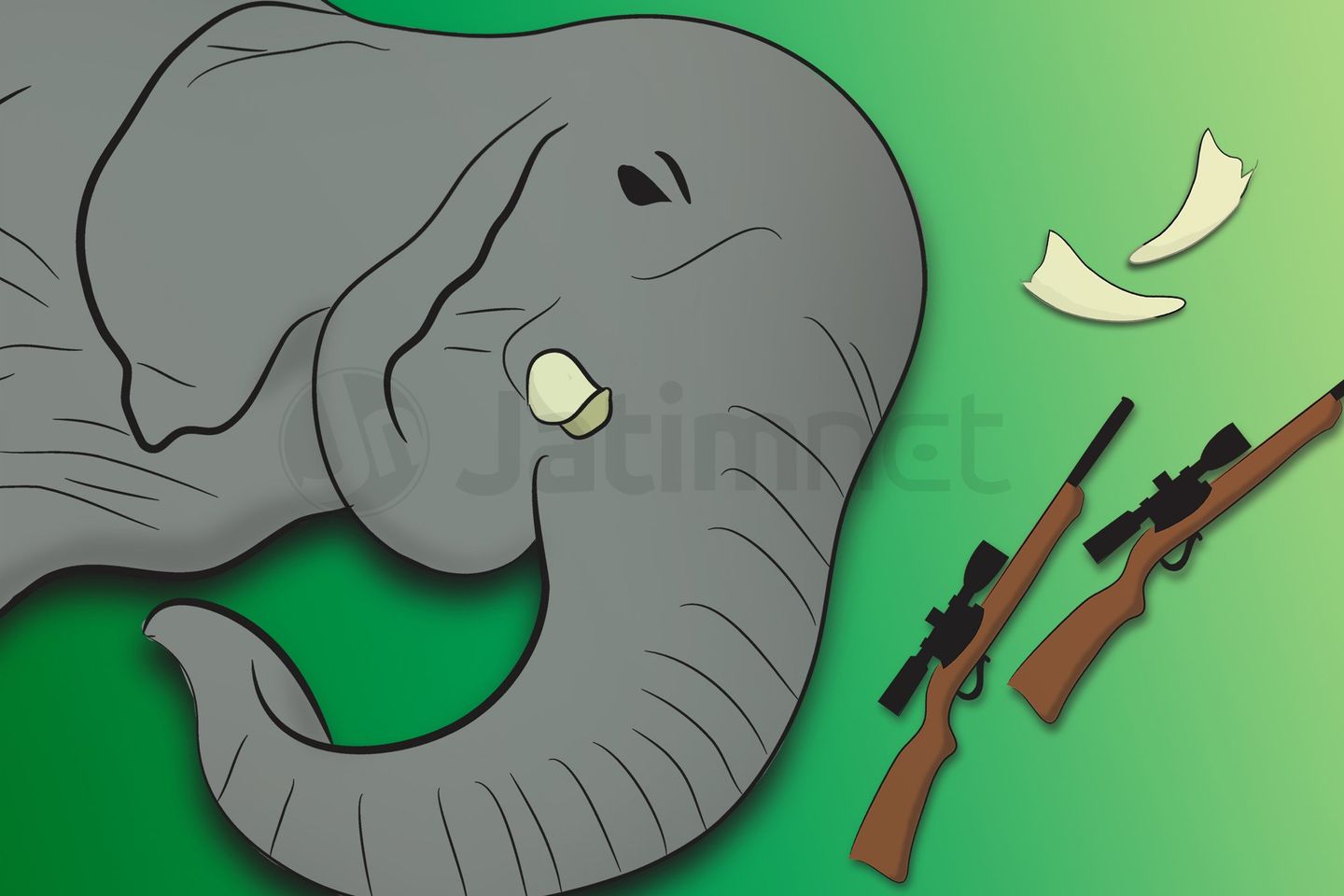 Gajah Tanpa Gading Ditemukan Mati di Aceh