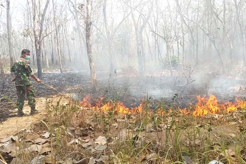 Tiga Hektar Hutan Maliran Blitar Terbakar