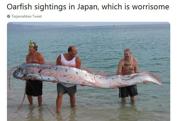 Oarfish Muncul ke Permukaan Dipercaya Pembawa Pesan Bencana