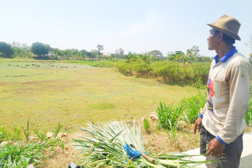 Waduk Mengering, Petani Gresik Utara Terancam Gagal Panen