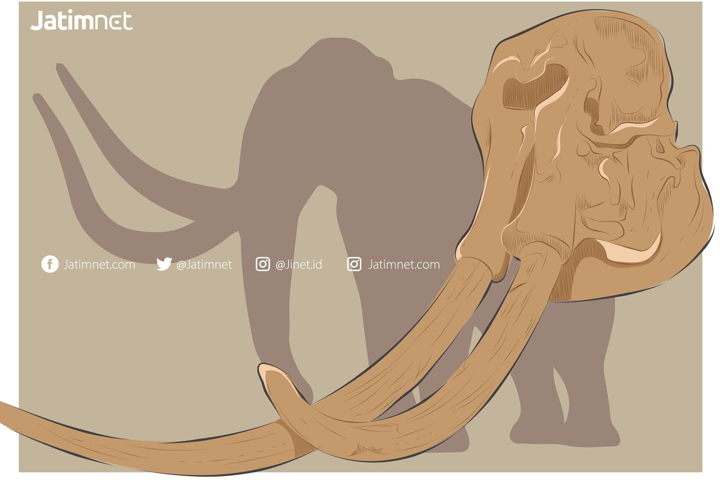 Tim Paleontologi ITB Temukan Fosil Gading Stegodon