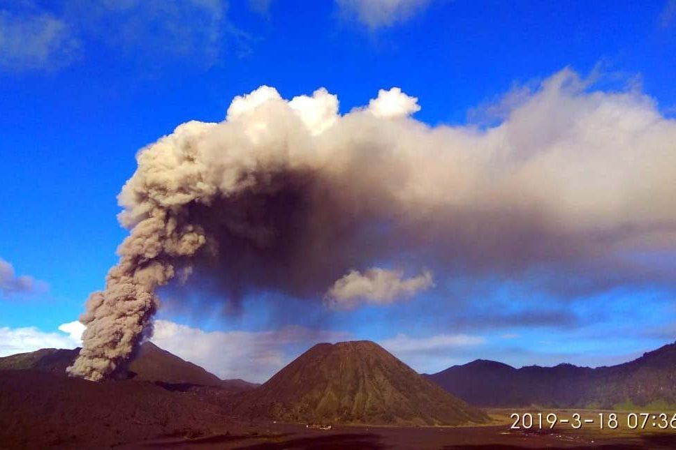 Tinggi Kolom Abu Vulkanik Bromo Mencapai 1.500 Meter