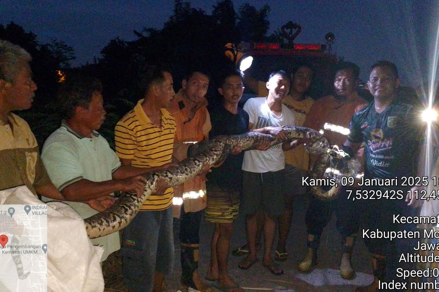 Petugas Damkar dan Warga Mojokerto Evakuasi Ular Sepanjang 5 Meter 