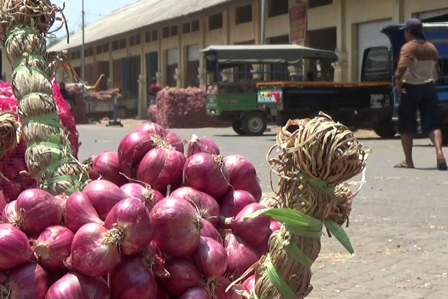 Harga Bawang Merah Probolinggo Anjlok