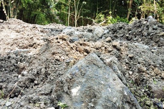 Dugaan Limbah Batu Bara PT GEI, DLH Uji Sampel Tanah Uruk