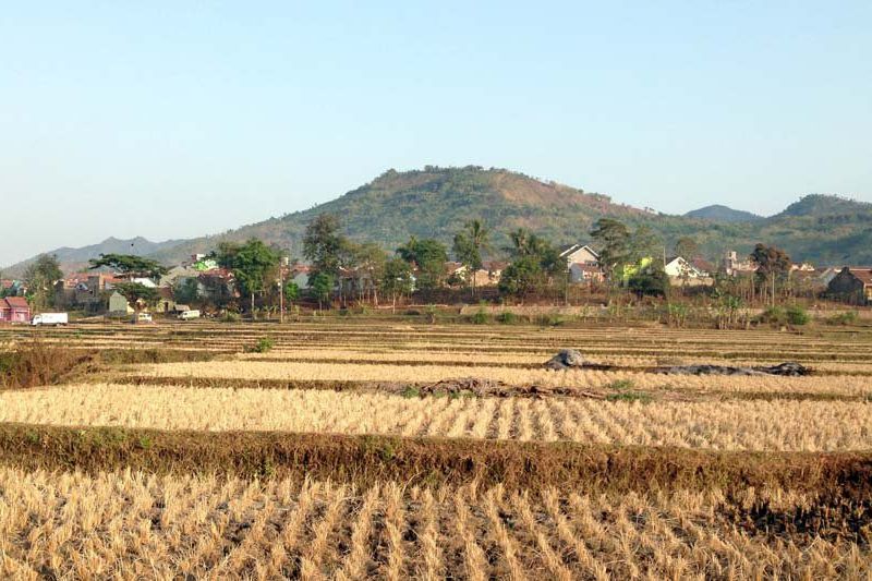 Enam Daerah di Jatim Terancam Kekeringan Ekstrem