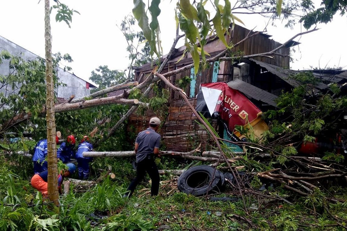 Pohon Tumbang Merusakkan Rumah dan Bengkel Warga Blitar