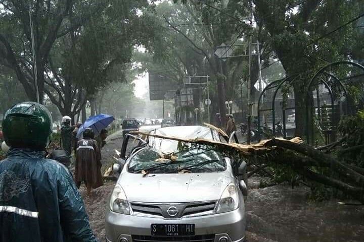 Pohon Diasuransikan, Korban Pohon Tumbang Malang Menerima Ganti Rugi