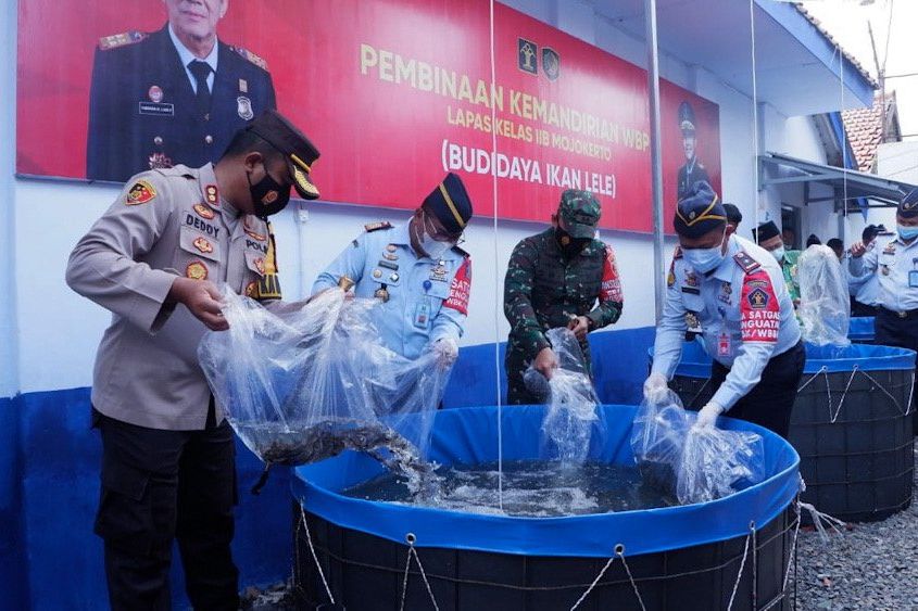 Melihat di Balik Kemandirian Usaha Napi dalam Budidaya Lele di Lapas