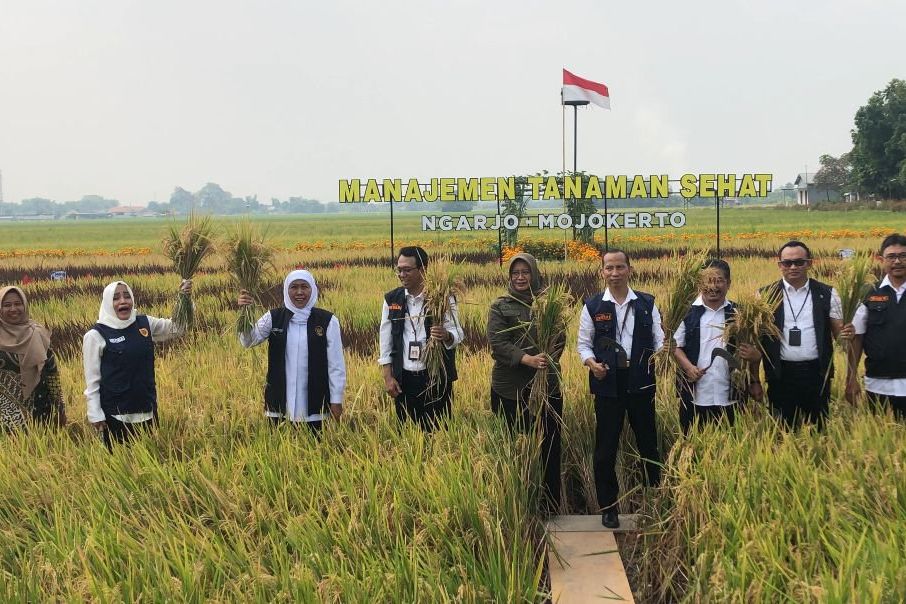 Gubernur Jatim Apresiasi Warga Ngarjo Mojoanyar Ciptakan Manajemen Tanaman Sehat