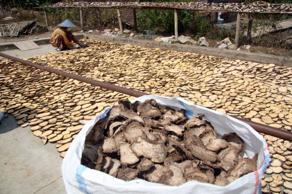 (Bagian-2) Cara Mengetahui Produktivitas Porang Madiun 2011-2018 Berdasarkan Data BPS