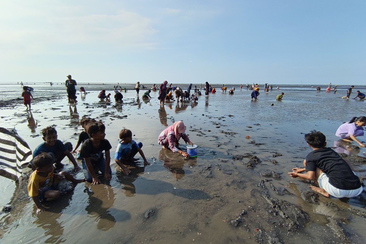Festival Rangkarang, Lomba Mencari Kerang Warga Randutatah Probolinggo Peringati Kemerdekaan RI