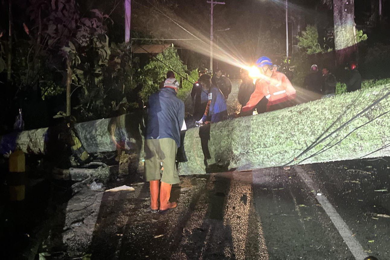 Pohon Tumbang di Mojokerto, Satu Warga Terluka