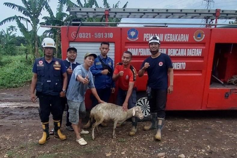 Kambing Warga Tercebur ke Lubang Sumur, Damkar Mojokerto Bertindak