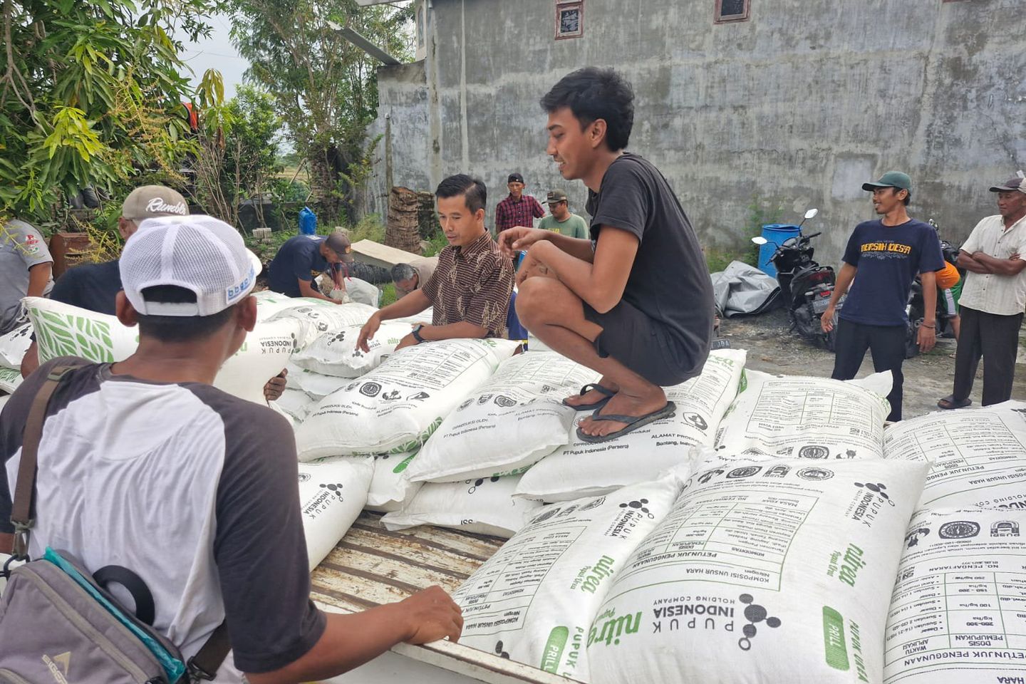 Sempat Molor, Bantuan Pupuk Nonsubdidi Bagi Pokdakan di Lamongan Disalurkan