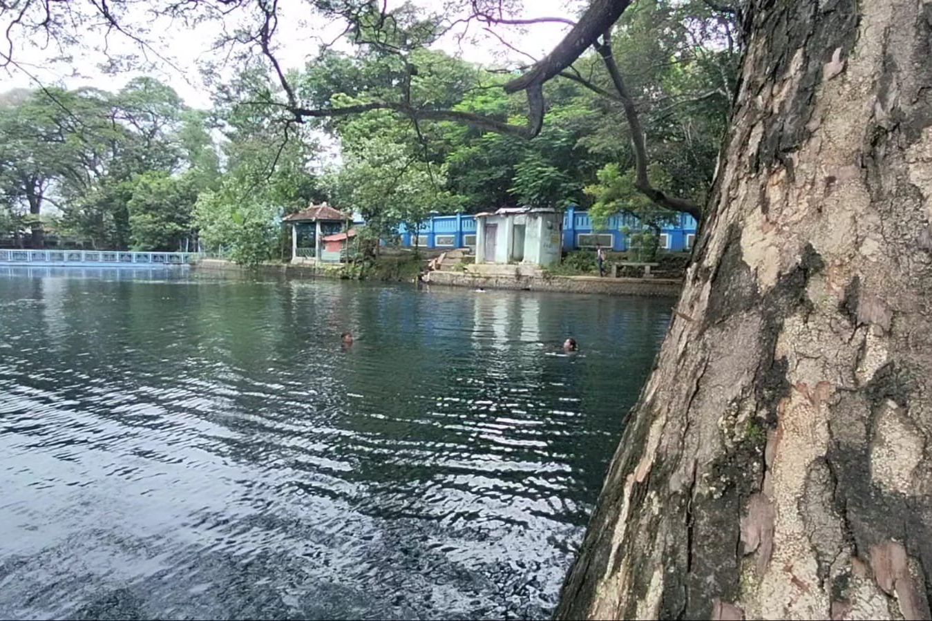 Danau Tirta Ronggojalu Probolinggo Layak Dikunjungi Saat Libur Nataru