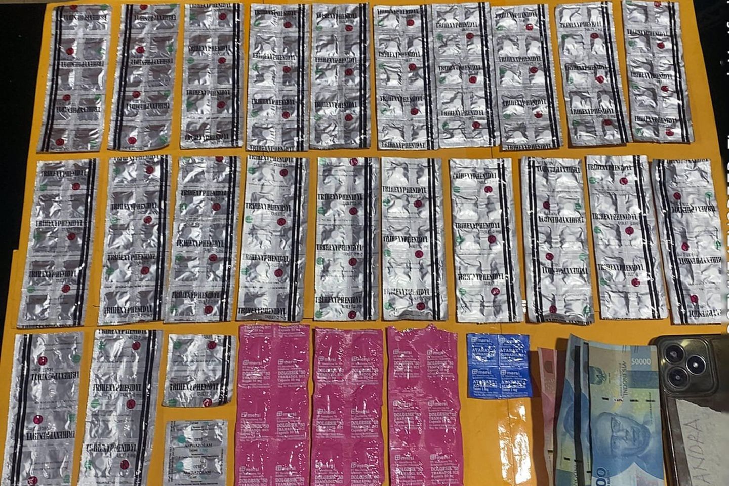 Edarkan Obat Keras Ilegal, Pemuda di Ngawi Ditangkap Polisi
