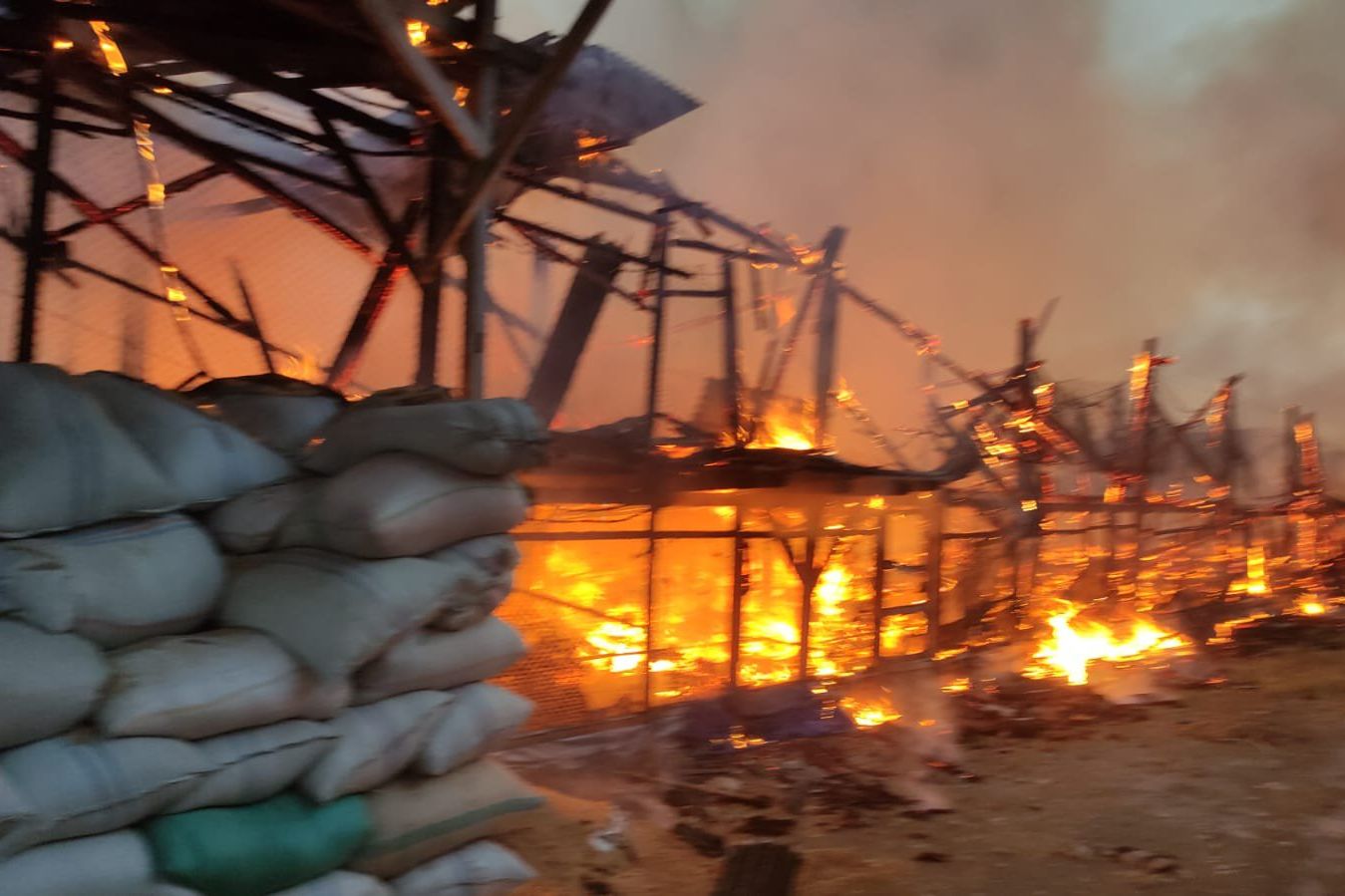 Kandang Ayam di Lamongan Terbakar, Pengusaha Merugi Miliaran Rupiah