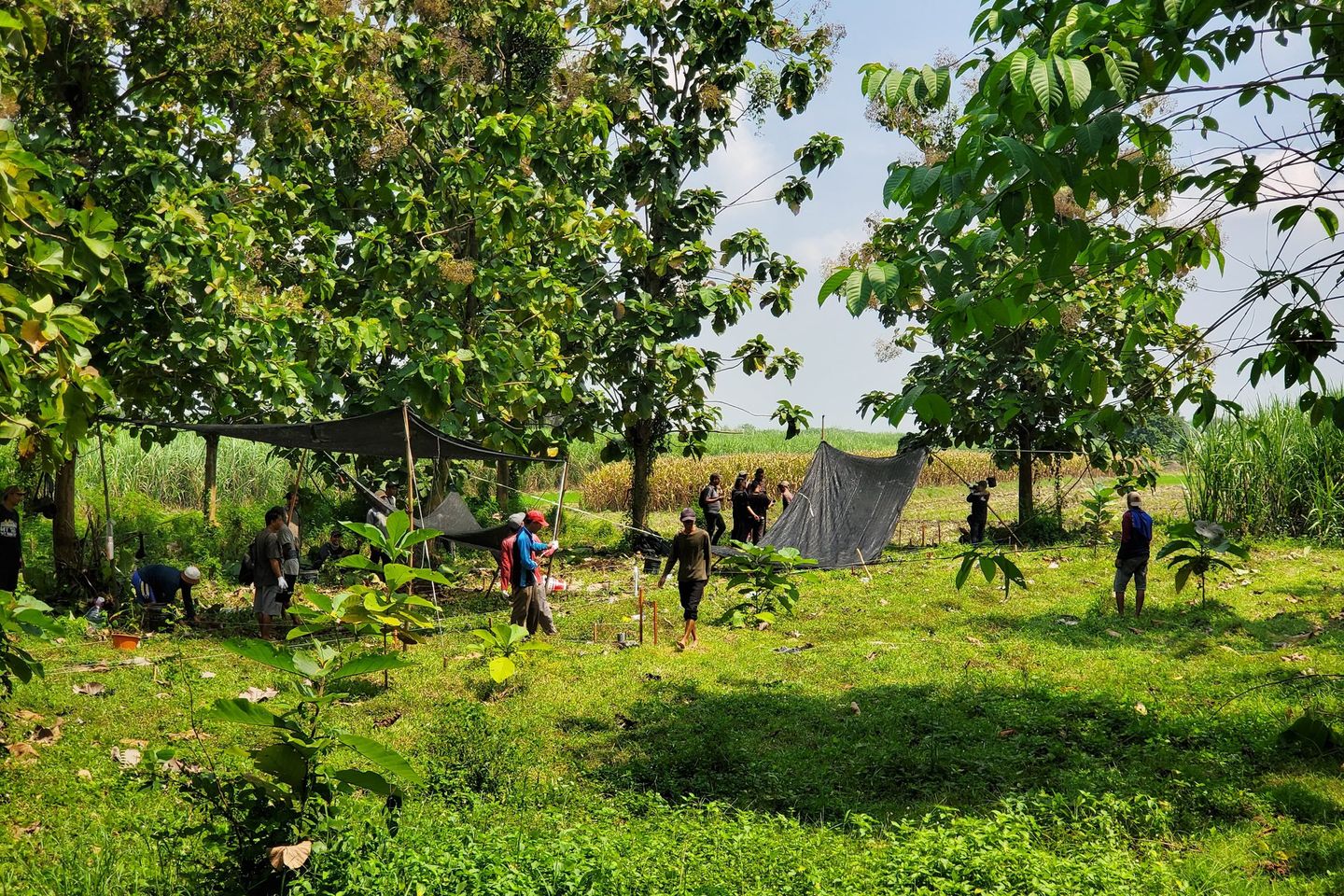 Teliti Struktur Diduga Pagar, BPK Jatim Ekskavasi Lahan Dekat Candi Brahu di Trowulan 