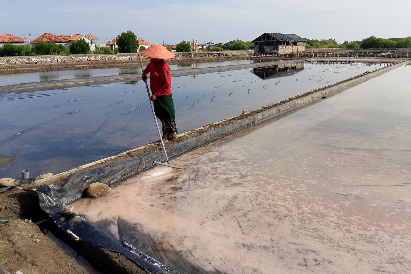 Impor Dibatasi, Harga Garam Lokal Melonjak Untungkan Petani 