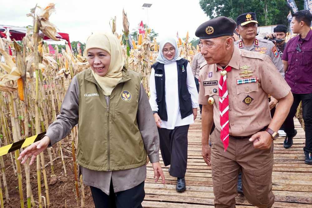 Khofifah Sebut Jatim Pemasok Jagung Terbesar Nasional