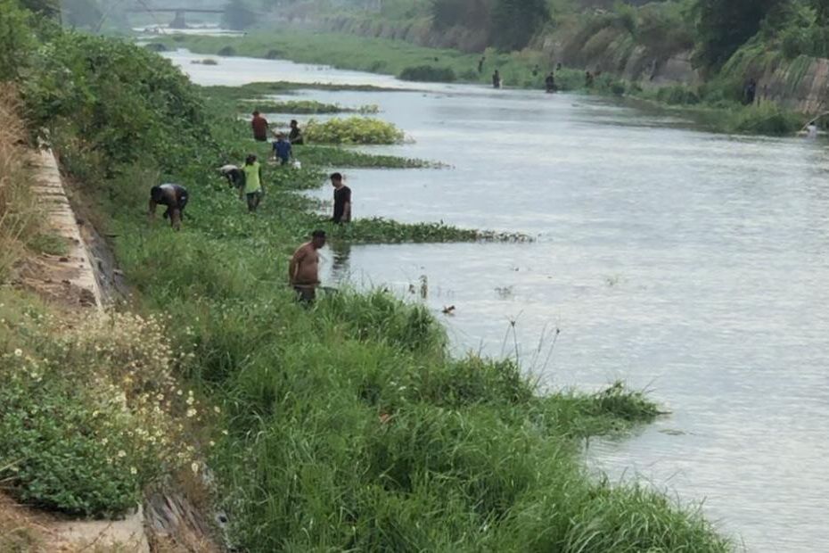 Dam Dibuka, Warga Berebut Ikan Munggut di Aliran Sungai Sadar Mojokerto