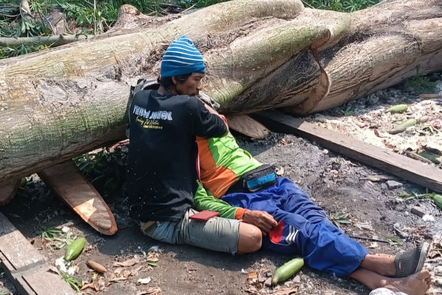 Tebang Randu, Kakek di Kota Mojokerto Meninggal Tertimpa Pohon