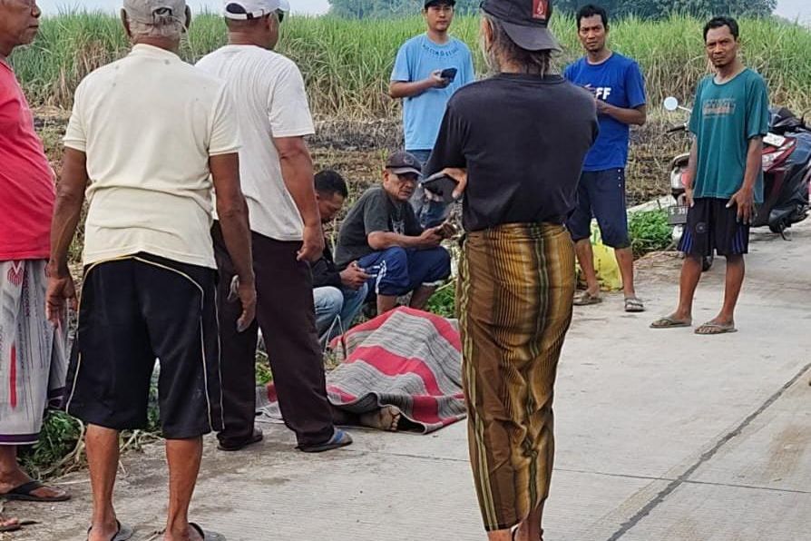Buruh Tani asal Jombang Meninggal Mendadak di Sawah Mojokerto