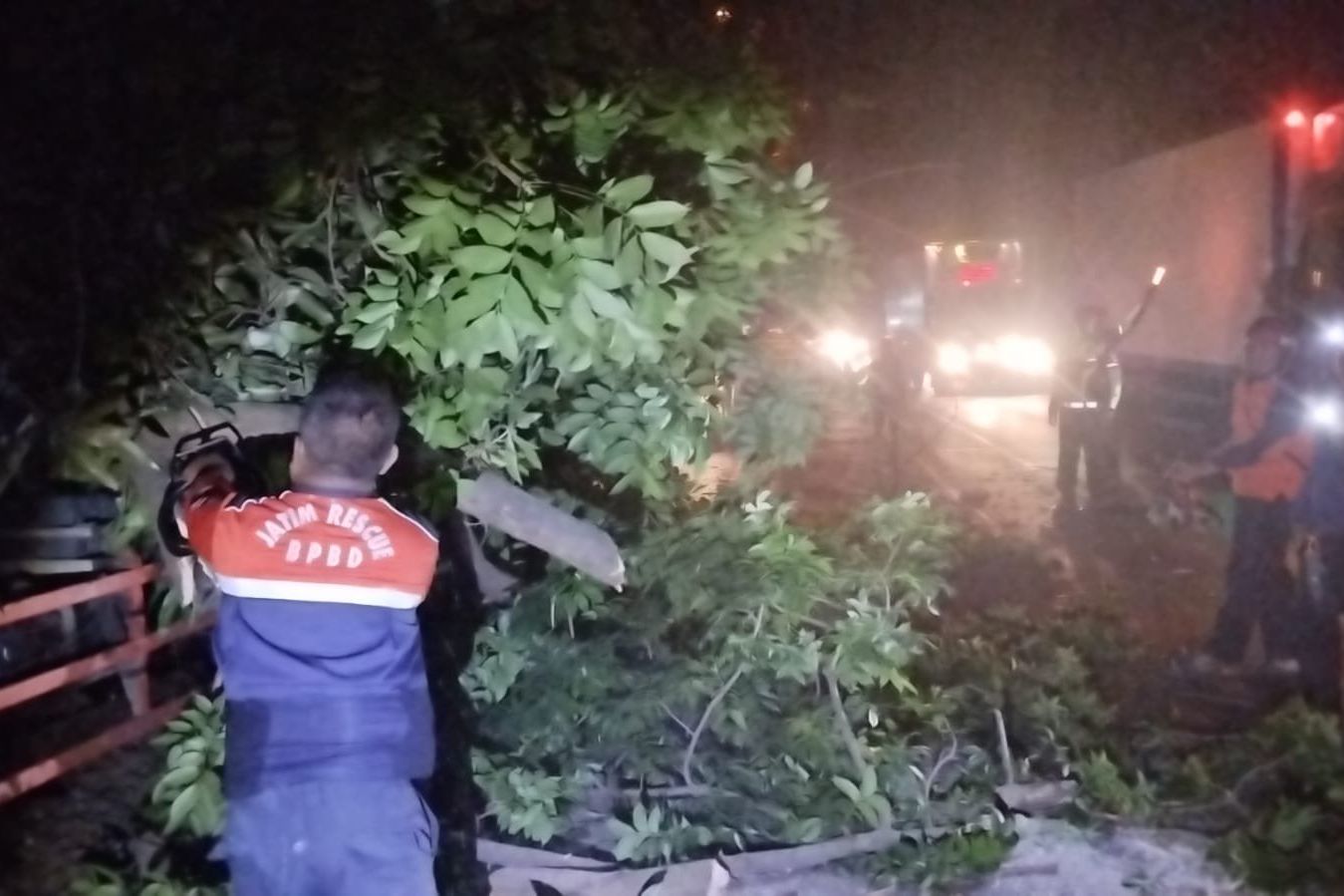 Truk Tabrak Pohon di Jalan Raya Ngranggon Mojokerto, Akses Jalan Sempat Tersendat 3 Jam