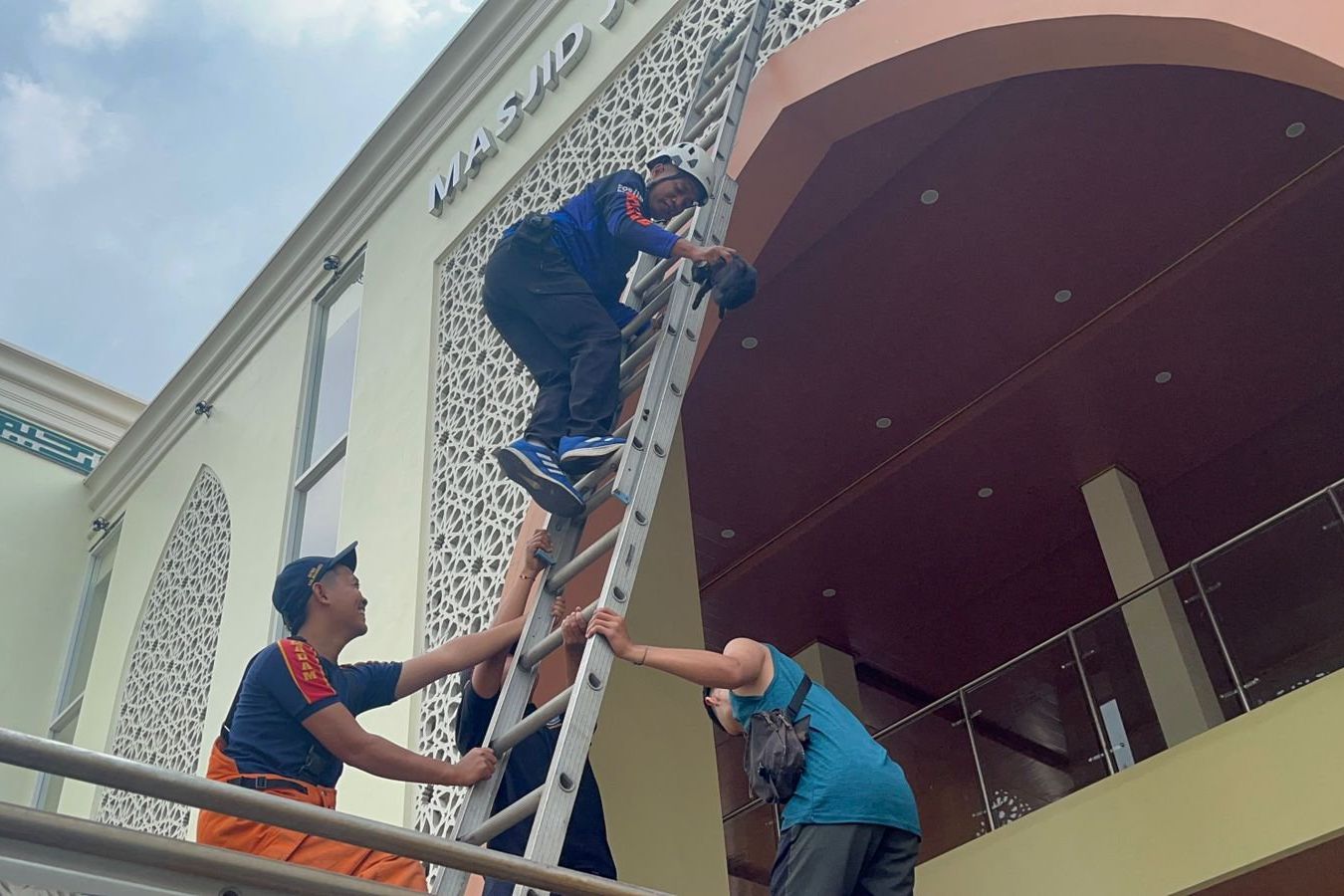 Perjuangan Damkar Evakuasi Kucing Liar Terjebak di Ketinggian Ornamen Masjid  