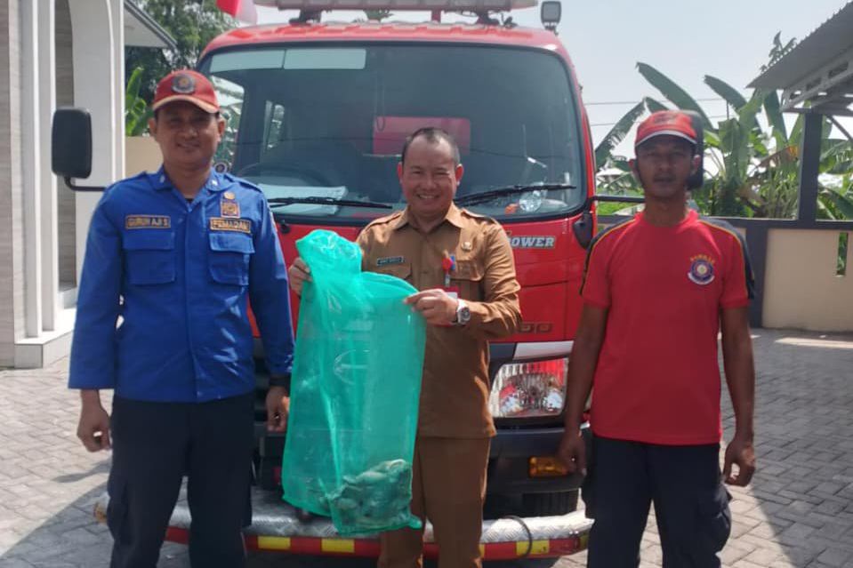 Damkar Mojokerto Evakuasi Dua Ekor Burung Hantu dari Atap Rumah Warga
