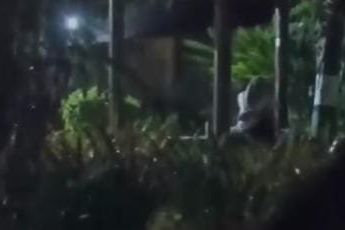 Viral Video Sejoli Berpelukan di Taman Lalu Lintas Mojosari