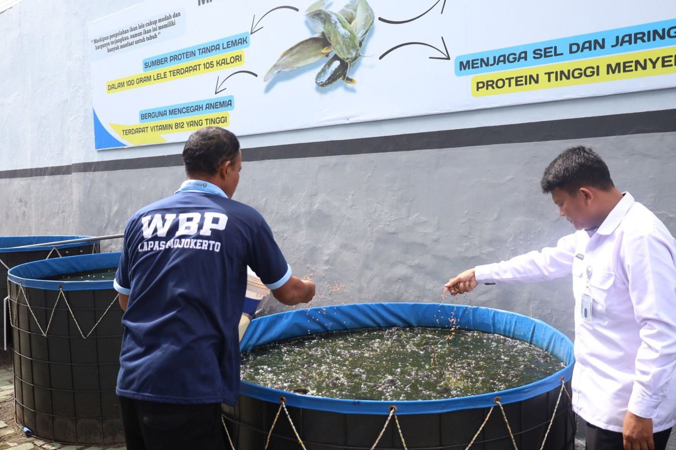 Dukung Ketahanan Pangan, Lapas Kelas IIB Mojokerto Budidayakan Lele