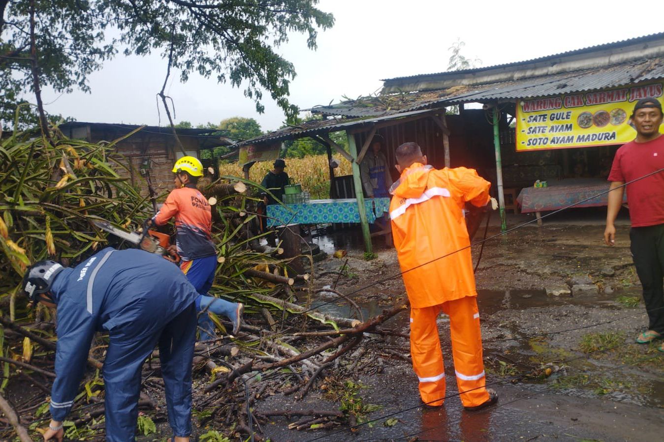 Nekat Menerobos Hujan Deras, Remaja di Mojokerto Tertimpa Pohon  