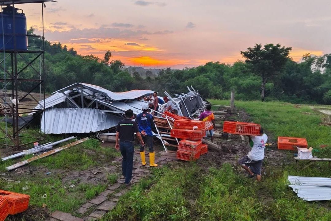 Angin Kencang Robohkan Kandang Ayam Milik Bumdes di Mojokerto